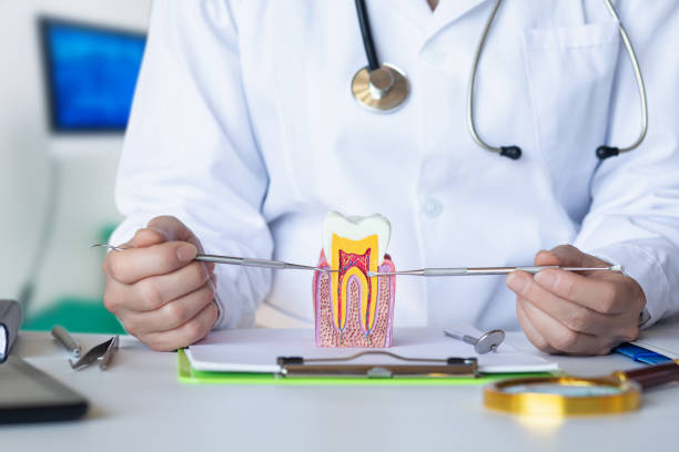 Best Emergency Orthodontic Repairs in Fritz Creek, AK